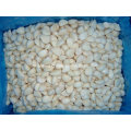 2016 New Crop Fresh Peeled Garlic with High Quality